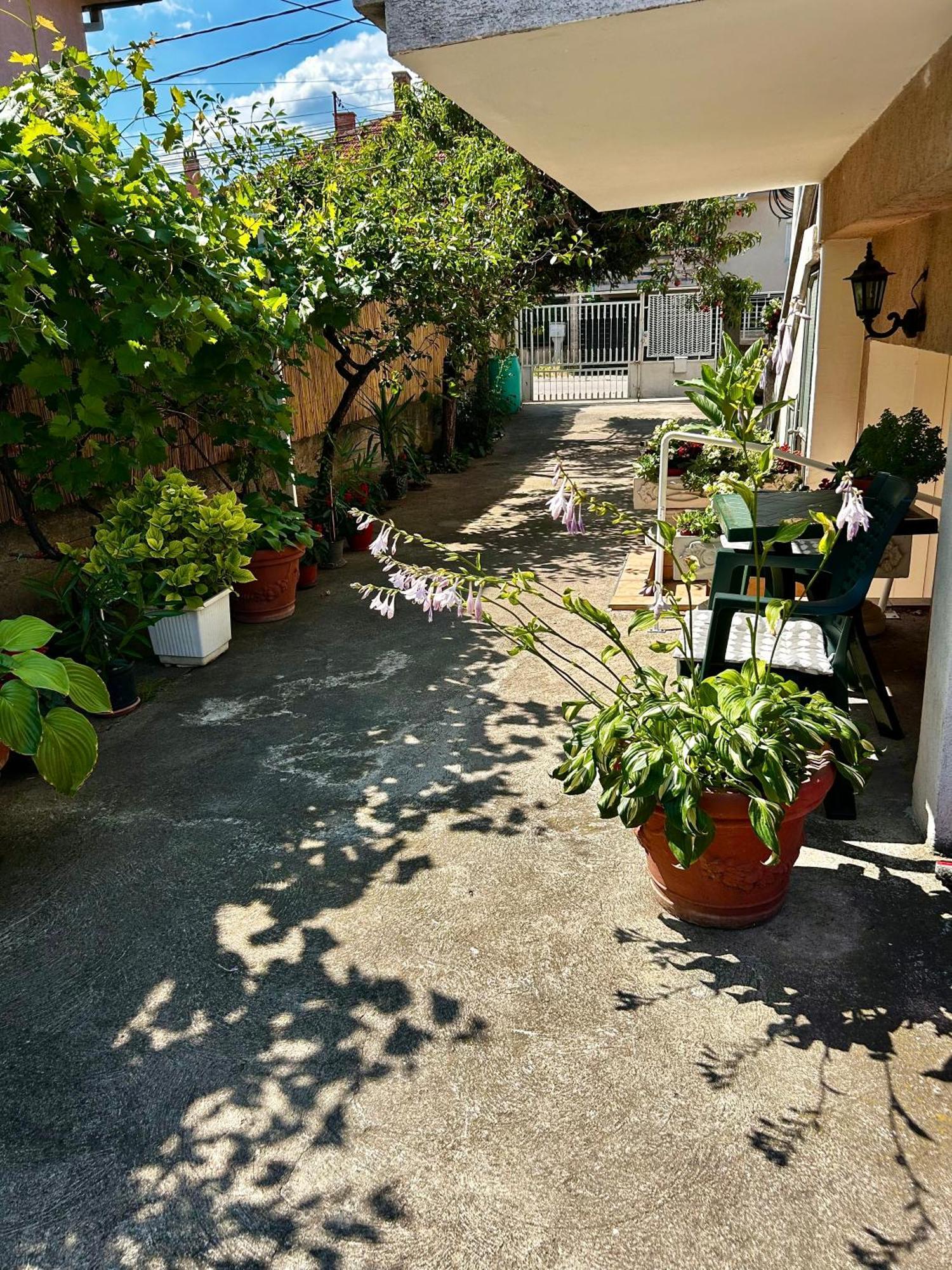 Tadija Nis Apartment