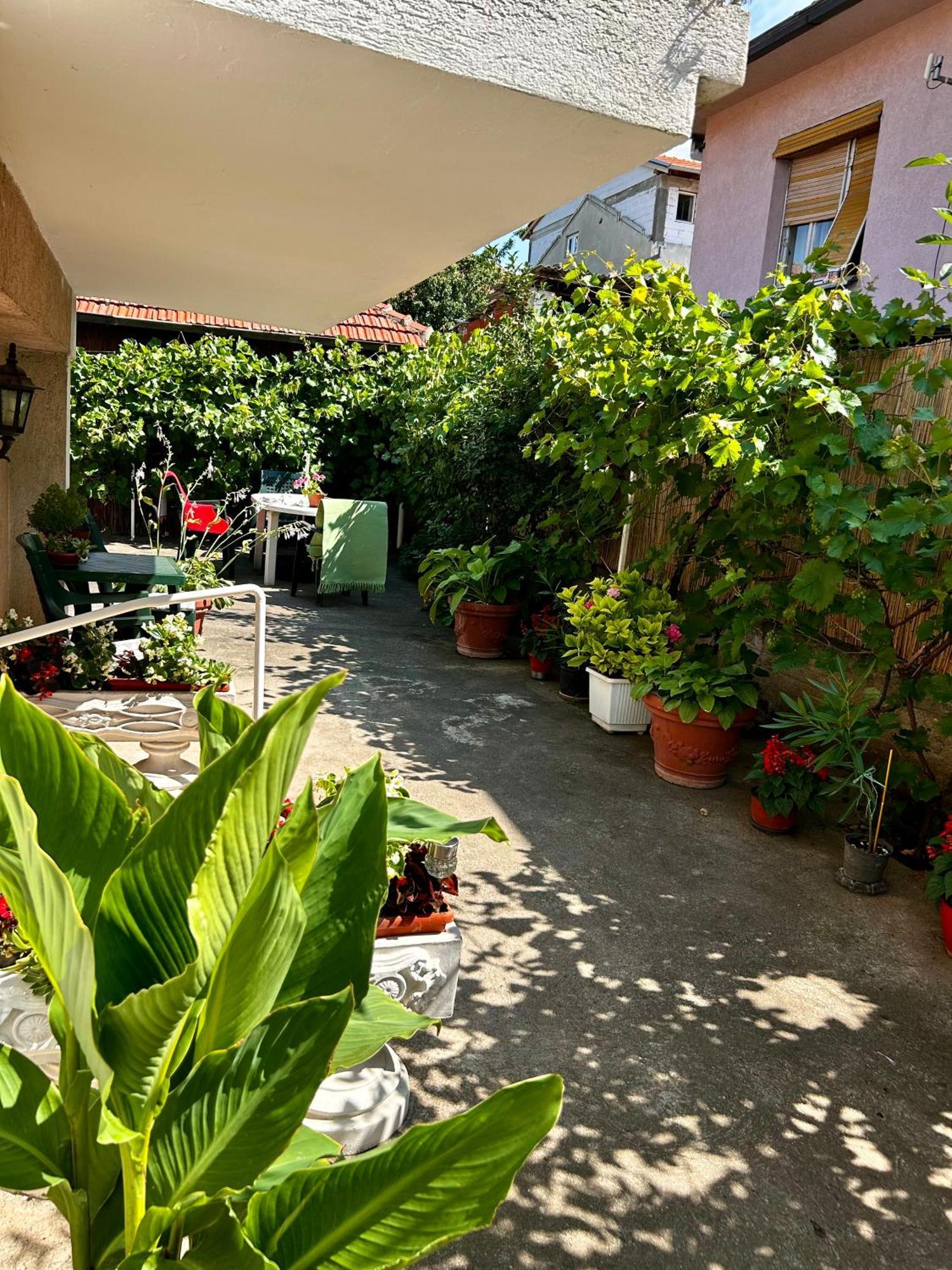 Apartment Tadija Nis Donja Vrezina